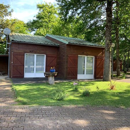 Chalets Mouliere Evasion Montamisé Екстериор снимка