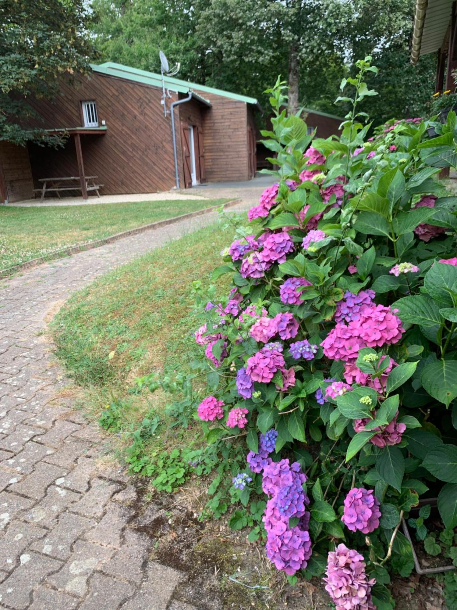 Chalets Mouliere Evasion Montamisé Екстериор снимка