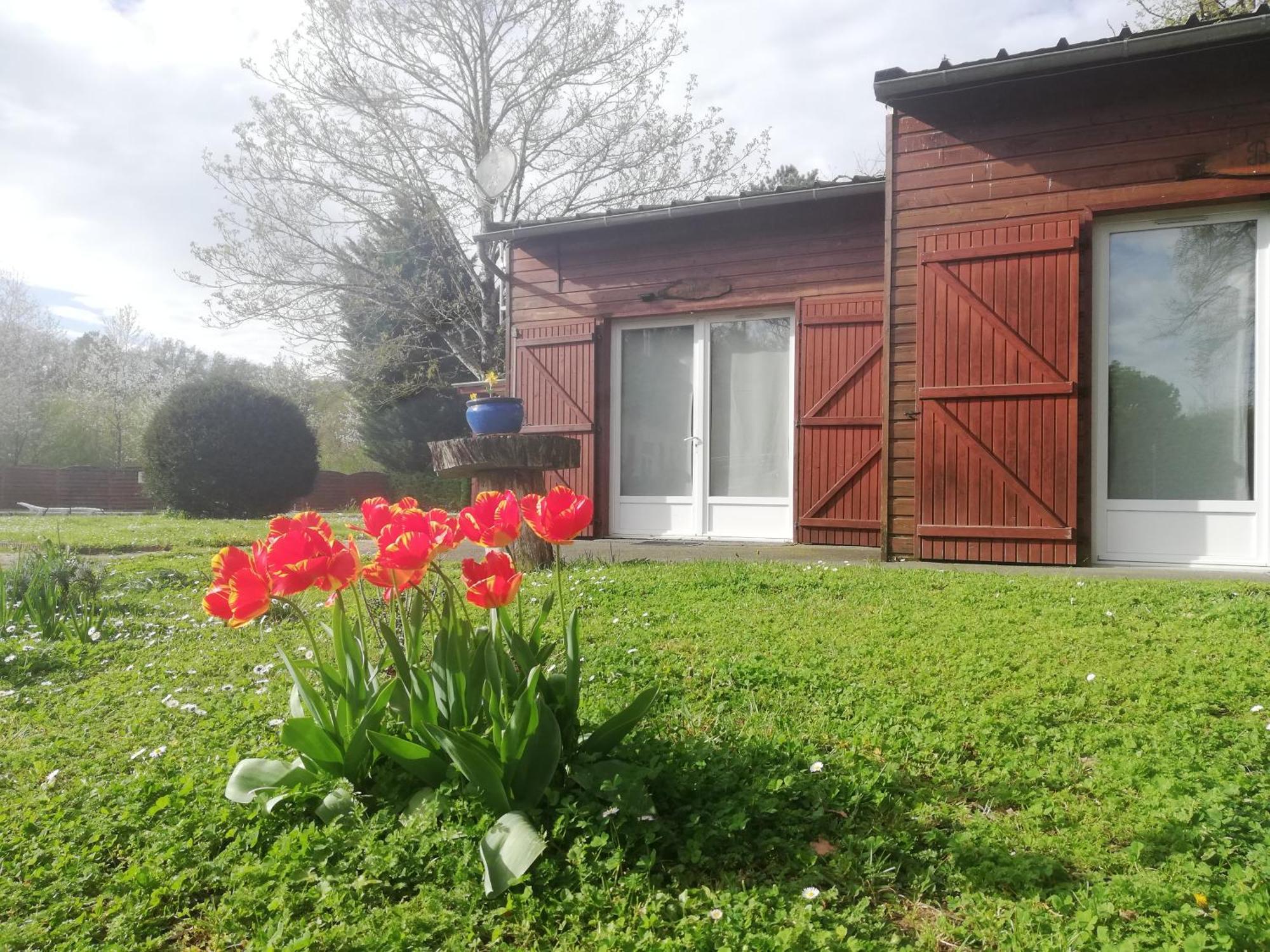 Chalets Mouliere Evasion Montamisé Екстериор снимка