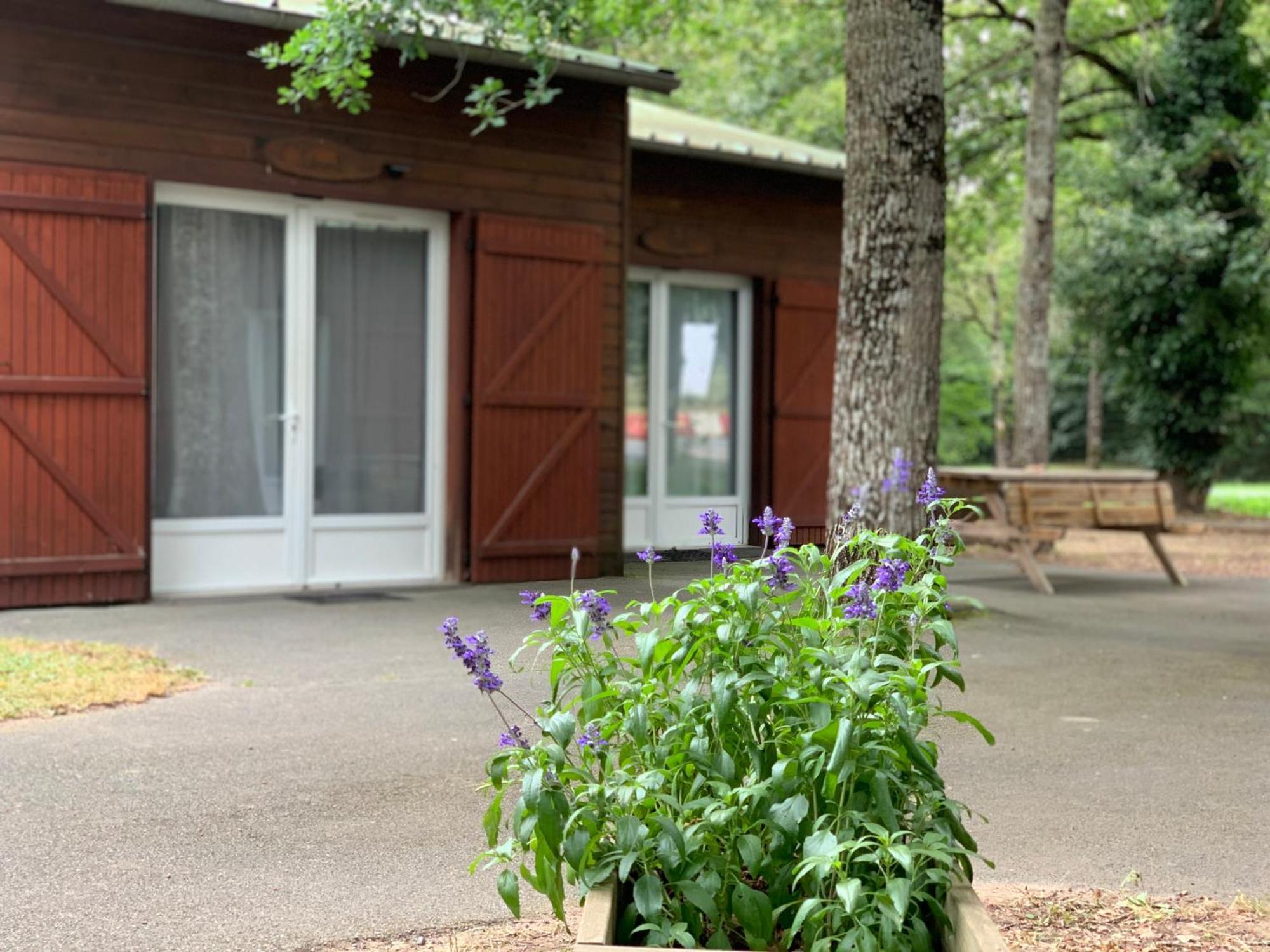 Chalets Mouliere Evasion Montamisé Екстериор снимка